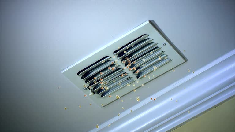 Best Air Duct Cleaning Near Me  in Pontoon Beach, IL
