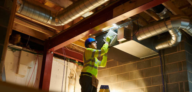 Best Air Duct Mold Removal  in Pontoon Beach, IL