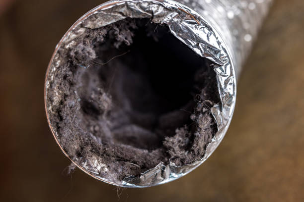Best HVAC System Cleaning  in Pontoon Beach, IL